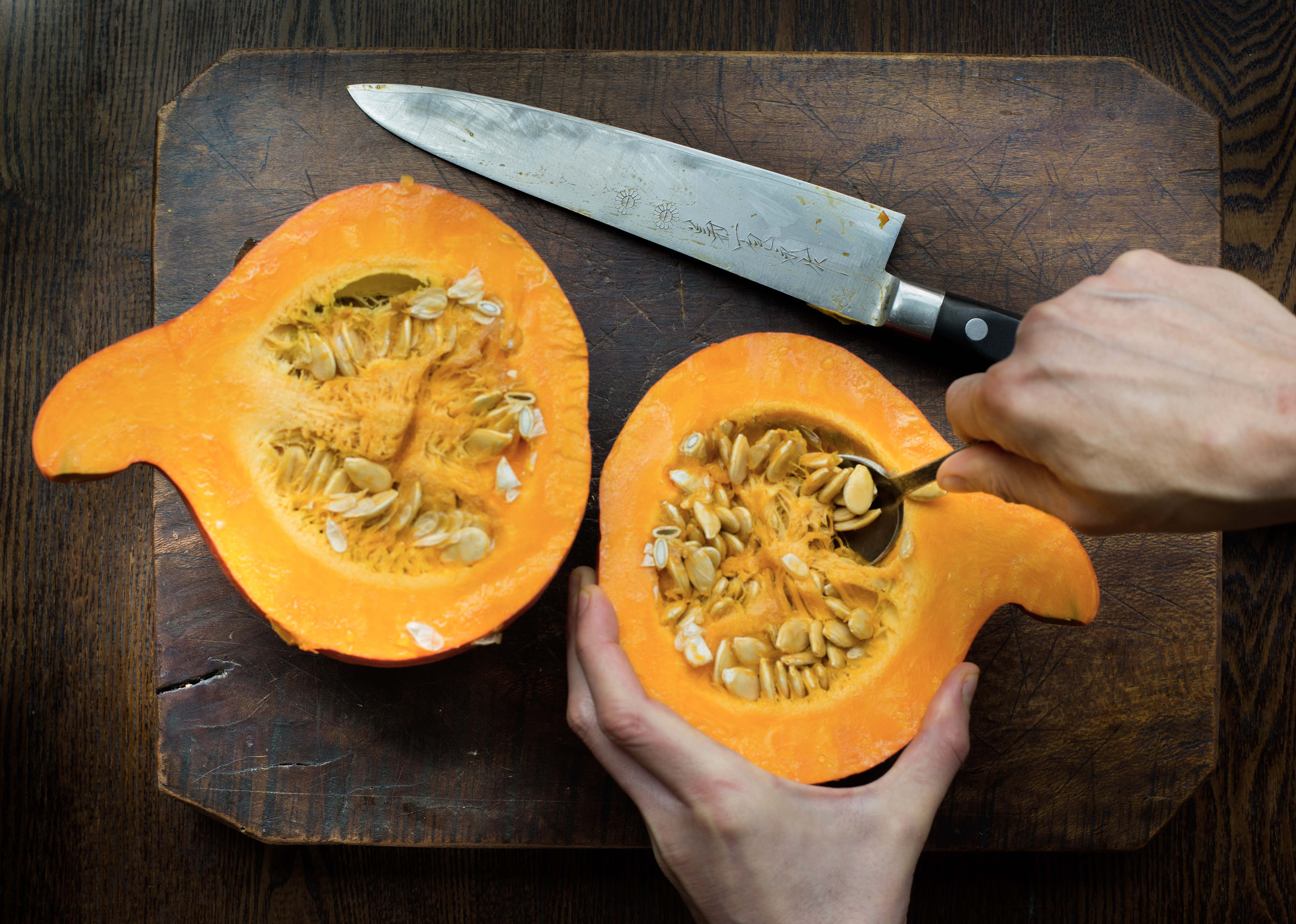 TASTE pumpkin2__ TASTE