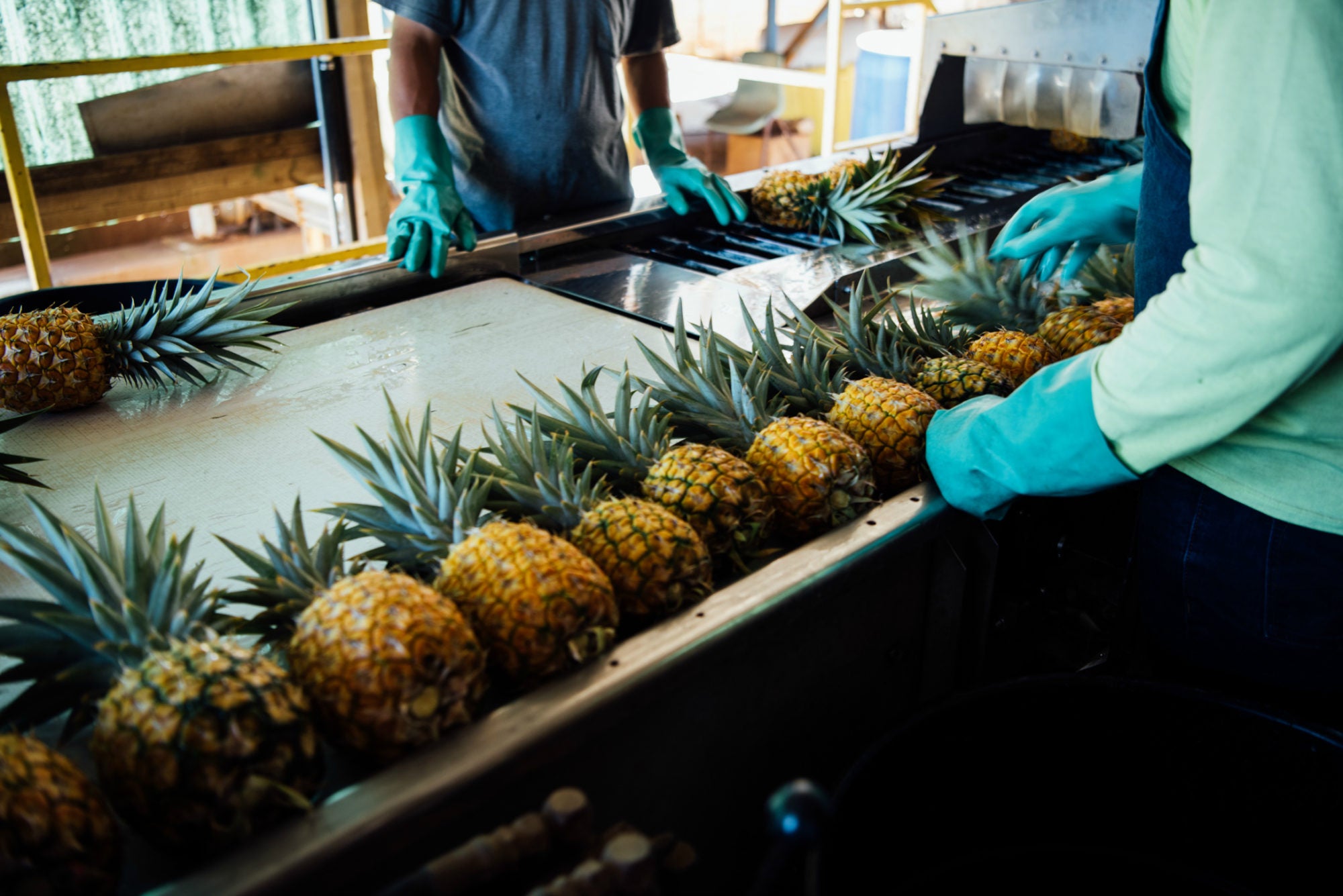 Cooking with Pork and Pineapples in Hawaii TASTE