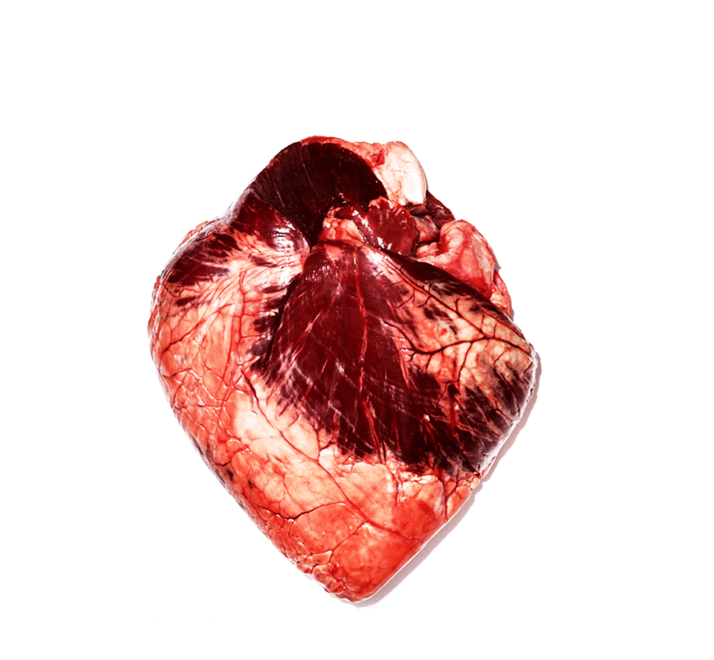 Cook the Whole Damn Heart