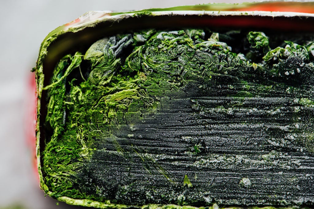 When Is It Okay to Cook With Frozen Vegetables?